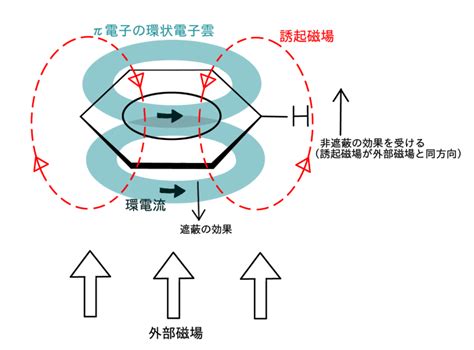 磁場影響|磁場の生体影響研究の必要性｜国環研ニュース 9巻｜国立環境研 